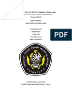 Makalah Filsafat Pra-Socratic (Kelahiran Filsafa Alam)