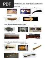 Alat Musik Tradisional 38 Provinsi | PDF