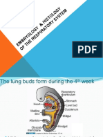 Embryology of The Respiratory System