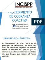 Cobranza Coactiva Sunat y Municipal 1