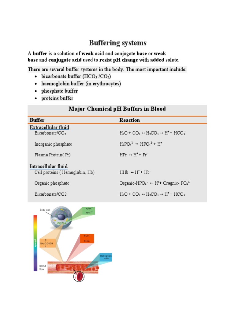 Major Chemical PH Buffers in Blood PDF