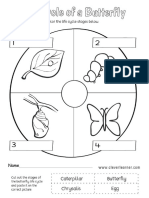 Life Cycle of A Butterfly Preschool Worksheet