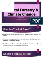 Tropical Forest Definitions, Importance, and Types