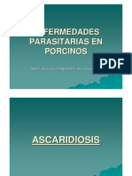 Ascaridiasis Cisticercosis Porcinos