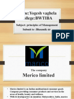 Marico Limited Company Overview