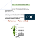 Crescimento vegetal e meristemas