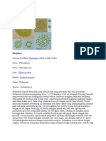 Download bahan lap by Fajar Iman SN54033967 doc pdf