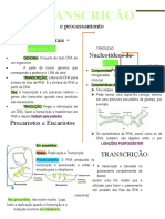 Rascunho Transcrição e Processamento