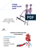 Sistema Cardiovascular 2021