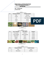 Lembar Kerja Laporan Praktikum Ipa Di SD pdgk4107 Modul 2 Ekosistem