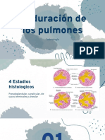 Sistema Respiratorio 3