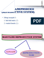 Presentasi Sistem Reproduksi Pd Manusia (1)