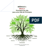 Oficina 3 - Abordagem Educacional Por Princípios