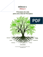 Oficina 4 - Sete Princípios de Governo