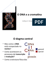 Aula 6 Empacotamento Do DNA Gilbert