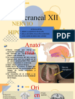 Nervio Craneal XII