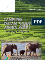 Lampung Dalam Angka 2007