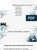 SISTEM REPRODUKSI MANUSIA