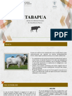 Exposicion.introduccionMVZ.tapabua(GPJFC)