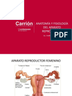 Anatomia Reproductor Femenino-2021