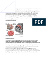 Bentuk Dan Ukuran Plasenta