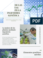 La mejora de las plantas mediante ingeniería genética