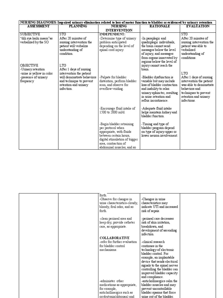 Nursing Care Plan for Urinary Retention | PDF | Urinary Incontinence ...