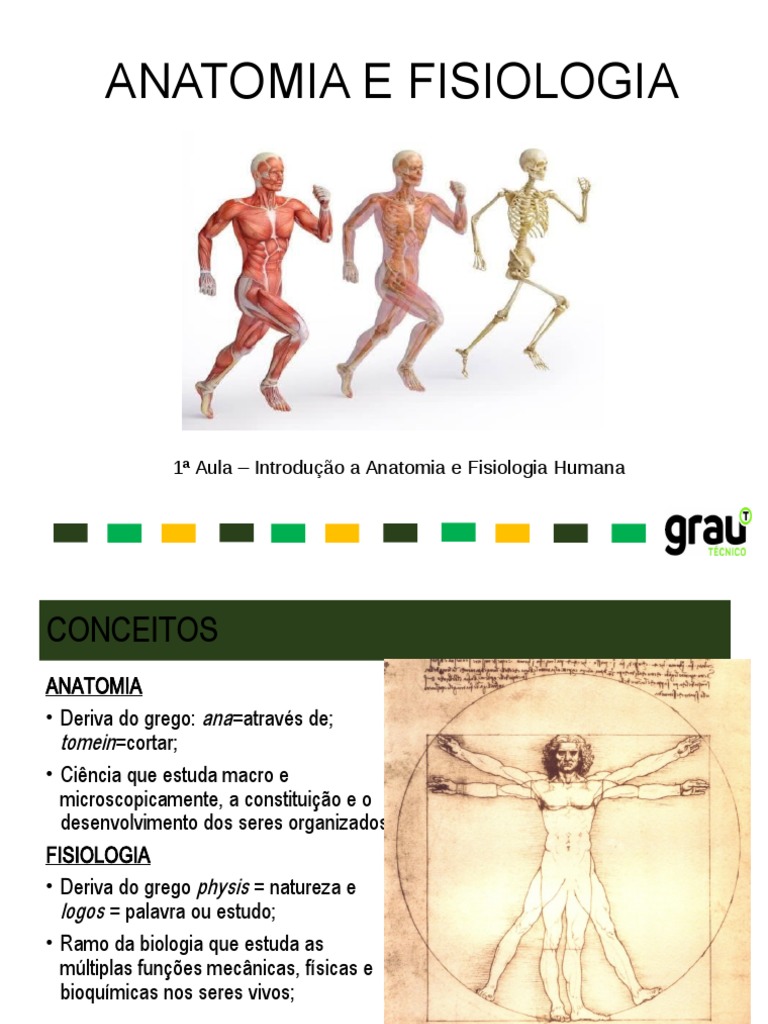 1 Aula - Introdução A Anatomia e Fisiologia Humana | PDF | Anatomia ...