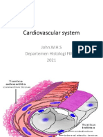Cardiovascular system 2021