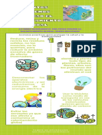 Azul Líneas Cambio Climático Medio Ambiente Infografía (2)