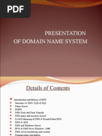 Presentation of Domain Name System