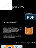 Open VPN