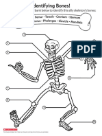 Jason Printable Skeleton