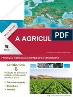 TE.GEO8.PPT.08-A Agricultura_autoravs6_final