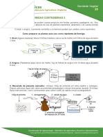 29. Controle de Formigas Cortadeiras 2