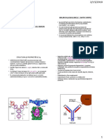 Anticorpii.Raspunsul_imun09
