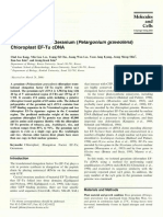 Characterization of Geranium Chloroplast EF-Tu cDNA: (Pelargonium Graveolens)