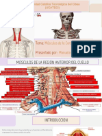 Músculos de La Cara Anterior Del Cuello