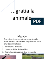 Migrația la animale