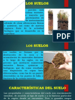 Los tipos de suelo y sus características