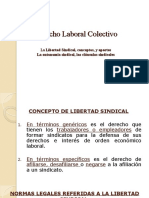 N° 11 Libertad Sindical