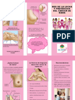folleto cancer de mama