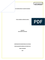 Pregunta Dinamizadora Alta Dirección U2