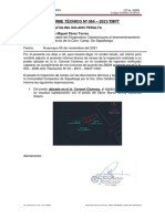 Informe Técnico #064 Elsa Solano