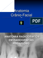 Anatomia Radiográfica - Aula 1