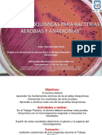 Presentacion - Pruebas de Indentificación Bacteriana - 2019