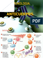 4 Anticuerpos