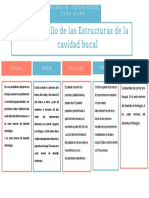 Embriología de Las Estructuras Bucales