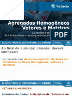 Vetores e Matrizes Algoritmos