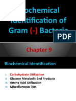 Gram-Negative Bacterial Identification Using Biochemical Tests